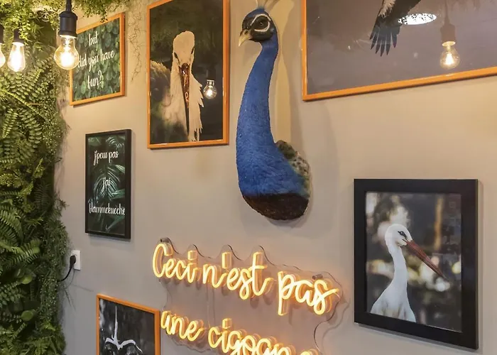 Odalys - Centre Les Halles Aparthotel Strasbourg